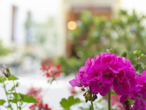 Apartment in Vienna with 1 bedroom