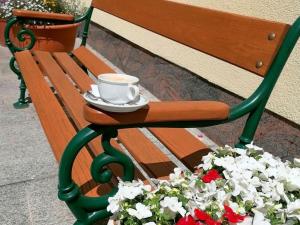 Apartment in Vienna with 1 bedroom