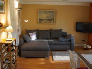 At the canal meadows