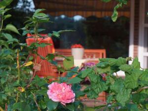 At the canal meadows