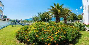 Panorama Apartments Olympos Greece