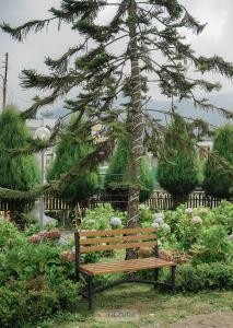 Omah Lumbung Nexura Escapes