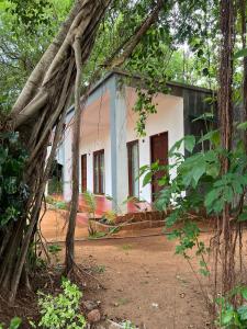 Seraphia Lodge Habarana