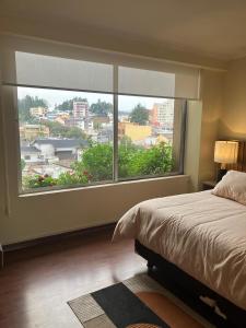 Exclusive Swissotel Quito Ecuador Suite