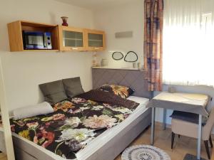 1-Raum-Appartement Ostseetraum mit Terrasse