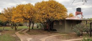 Cabañas Los Chañares