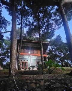 Alvaro Resort Bukit Angin