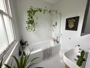 Modern 1BDR with Parking and Shared Garden