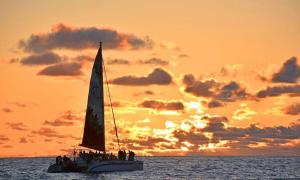 Waikiki Beach Studio with Parking