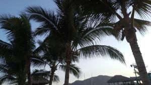 Tesoro Palmas Resort