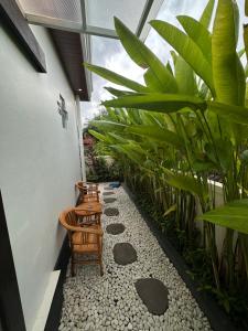 Bali Tropical and Relax