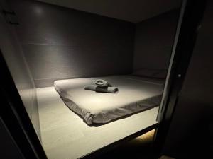 Havona Capsule Hotel - CIQ - Self Check In