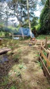 Magic Cabin in Jardín de Dota A real Costa Rican Farm experience with Breakfast included Trout fishing in the lagoon Fruit tasting & beautiful garden with farm animals