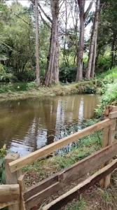 Magic Cabin in Jardín de Dota A real Costa Rican Farm experience with Breakfast included Trout fishing in the lagoon Fruit tasting & beautiful garden with farm animals