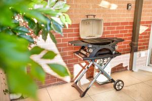 BOTA1K - Haven on Botany