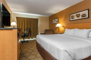 Comfort Inn New Glasgow - Stellarton