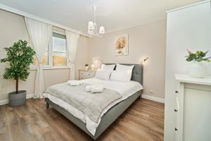 La Vie en Rose Chic French-Style Apartment with Parking in Timisoara