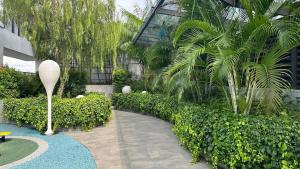 Couple nest A37 10St Trion KL
