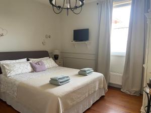 Strategico per Venezia - Piscina e Aria Condizionata - Villa Gina