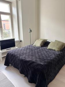 Renovated studio in the middle of culture