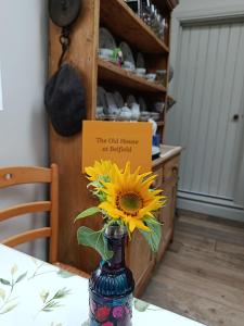 The Old House at Belfield