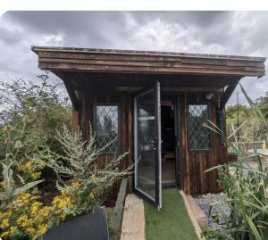 The willow cabin