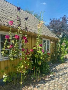 Historic Cottage In The Heart Of Österlen