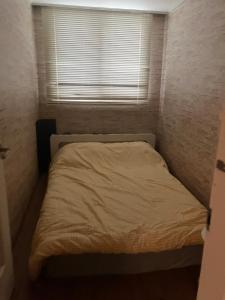 Hongdae BlueAnts House