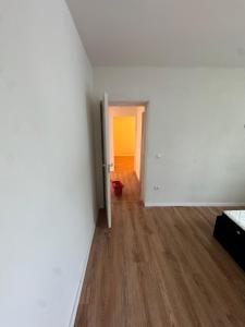 Casele lângă padure