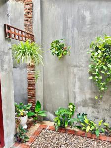 Dốc Lò - Homestay