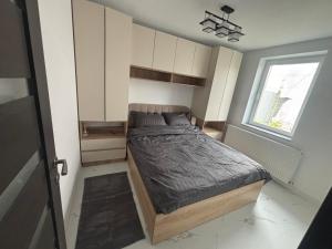 Hypnotic suite centru