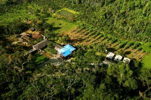 Rainy Cloud Homestay Private Cottages - 1KM Falls, Estate, Home Food