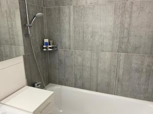 DAVOS Ganze Ferienwohnung Haus Iva