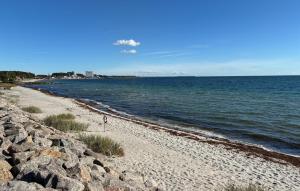 Pet Friendly Home In Faxe Ladeplads With Wifi