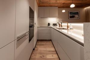 Antarès ORION 001 - luxury apartment ski inski out