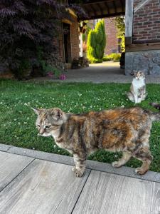 Propriété à la campagne