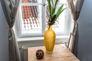 Spacious elegant apartment at the Old Town Square