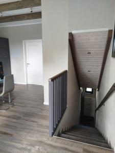 DEKO-LIME apartments