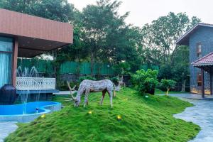 Nishigandha Jal Mahal Resort