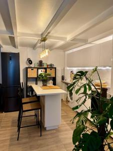 Duplex in Heart of Paris