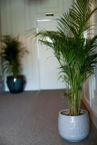 Padam Boutique Hotel