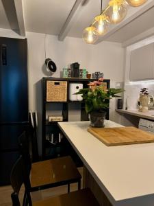 Duplex in Heart of Paris