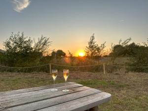Tiny House du Gad Bourgeois