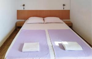 Nice Apartment In Povljana With House Sea View