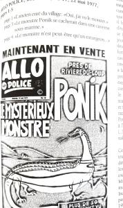 Chambre du Pic-bois-Pakahqaha-Woodpecker