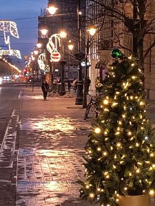 Kindermann Residence