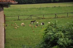 Agriturismo Antica Pieve