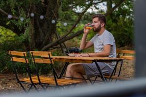 Le Bosquet des Dômes - Panorama des Puys à Cheval