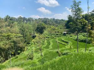 New Rinjani Homestay