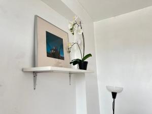 Modern Studio in Stoke Newington